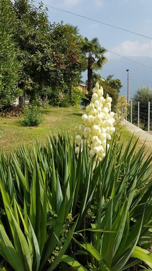 Flora Apartamento Moltrasio Exterior foto